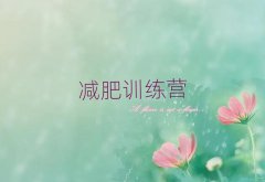 ɽѵӪȫ