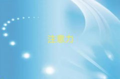2025ѧӶද֢ѵʮǿ