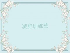 2025¦һѵӪ