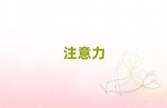 2025ݸʮѧУ