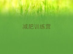 2025ݼӪѵ