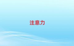 2024ݱѧӶද֢ѵʮǿ
