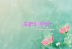 2025мѵӪ