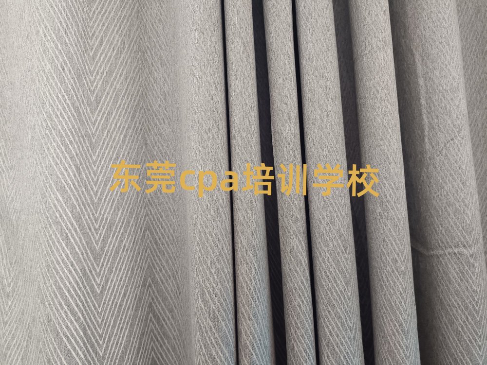 12月东莞学cpa去哪个学校比较好,快来看看