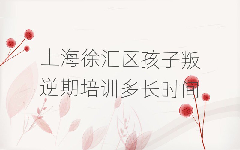 上海徐汇区孩子叛逆期培训多长时间