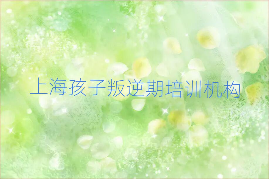 上海徐汇区孩子叛逆期培训多长时间