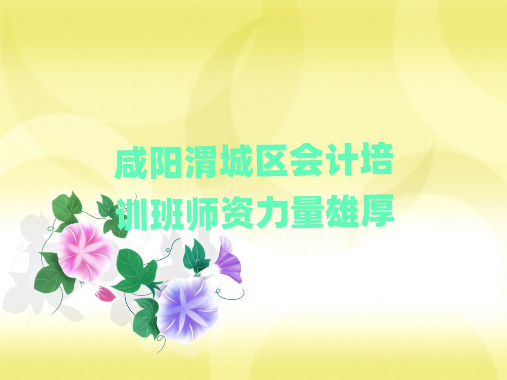 咸阳渭城区会计培训班师资力量雄厚