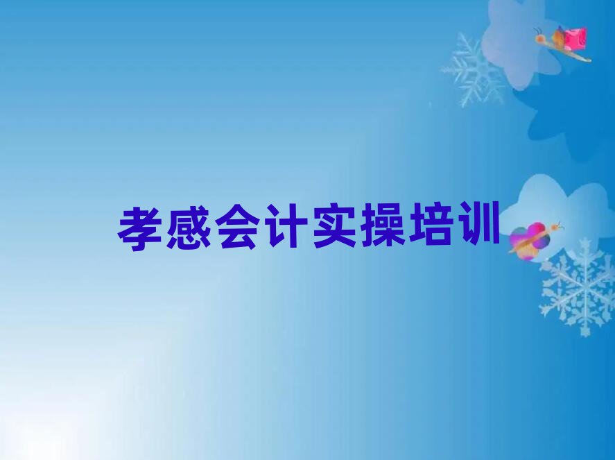 2024年孝感会计做账培训一对一名单一览