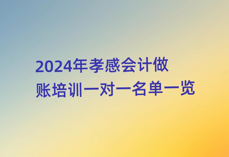 2024年孝感会计做账培训一对一名单一览