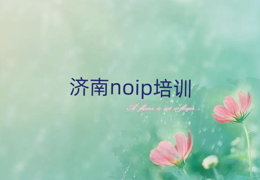 noip