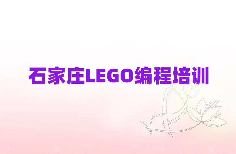 2024ʯׯʲôLEGOѧУаһ