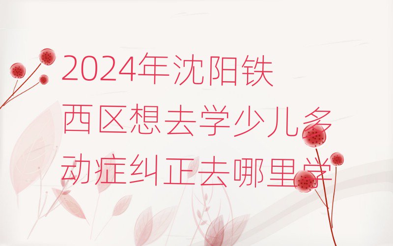 2024年沈阳铁西区想去学少儿多动症纠正去哪里学