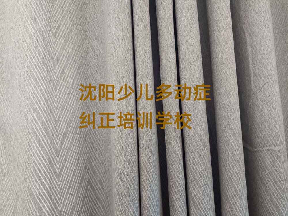 2024年沈阳铁西区想去学少儿多动症纠正去哪里学
