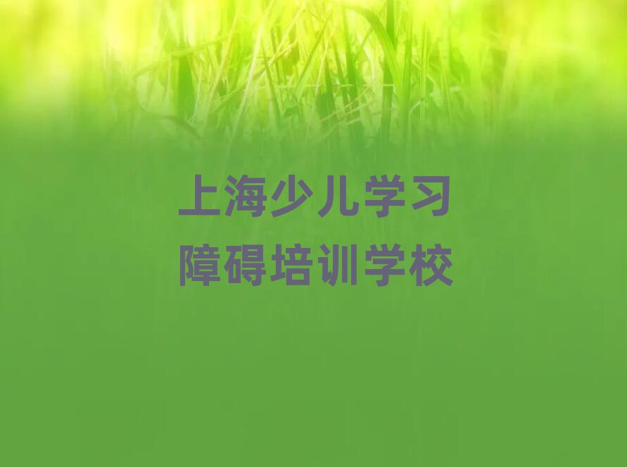 1月上海闵行区什么学校学少儿学习障碍比较好