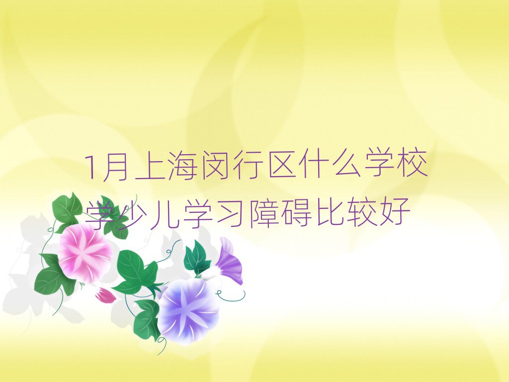 1月上海闵行区什么学校学少儿学习障碍比较好