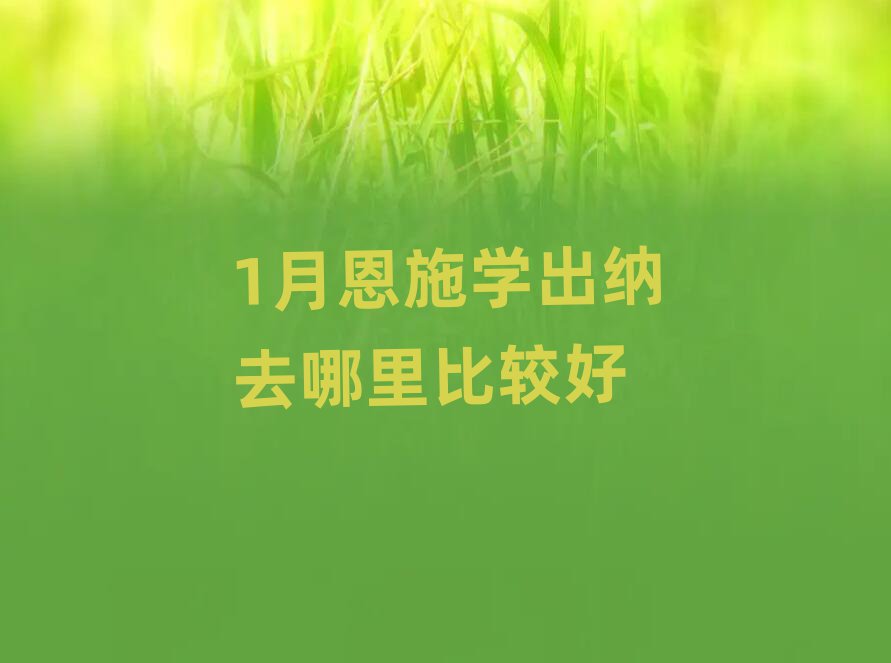 1月恩施学出纳去哪里比较好