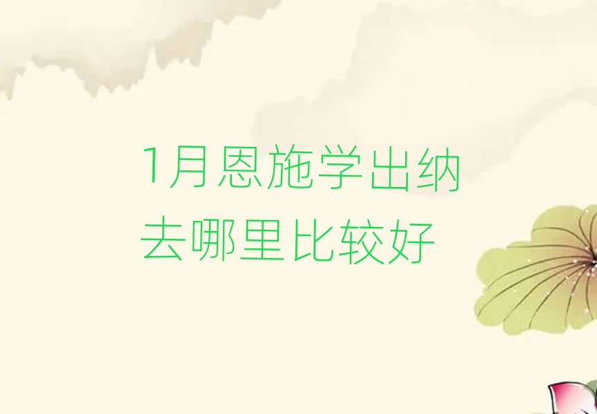 1月恩施学出纳去哪里比较好