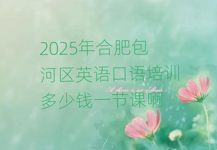 2025年合肥包河区英语口语培训多少钱一节课啊