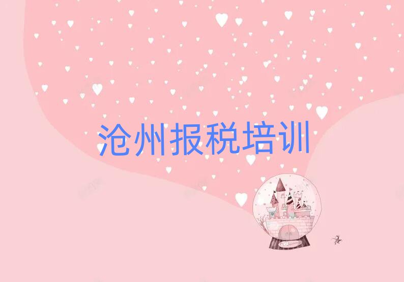 沧州新华区财税培训说明