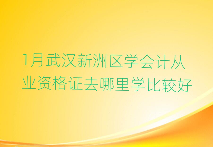 1月武汉新洲区学会计从业资格证去哪里学比较好