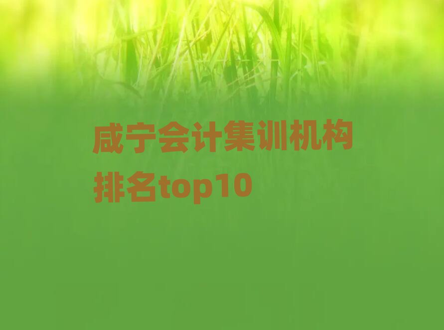 咸宁会计集训机构排名top10