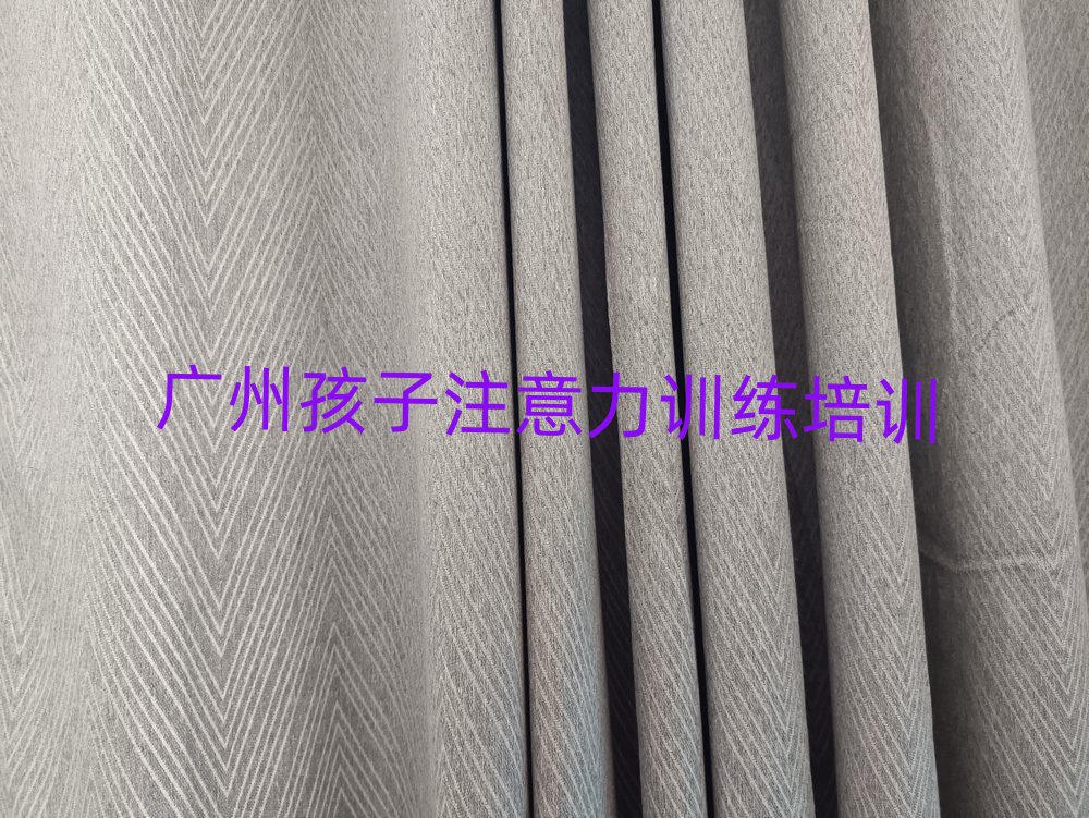 广州番禺区孩子注意力训练自学网站排名一览表