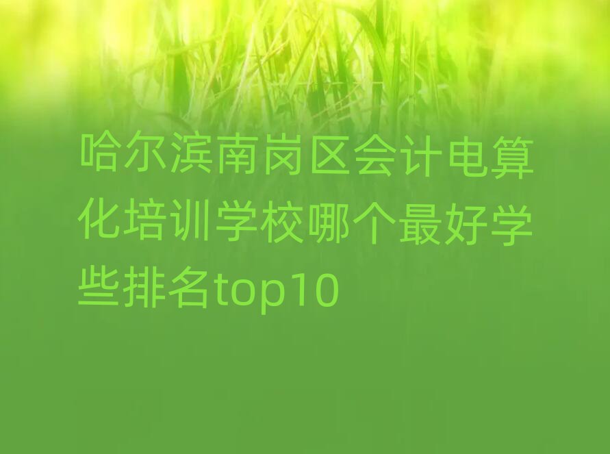 ¹þ¶û±õÄϸÚÇø»á¼ÆµçË㻯ÅàѵѧУÄĸö×îºÃѧЩÅÅÃûtop10