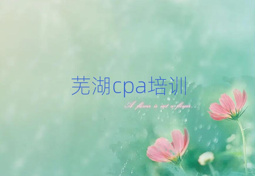 2025ߺȥѧcpaʮѡ