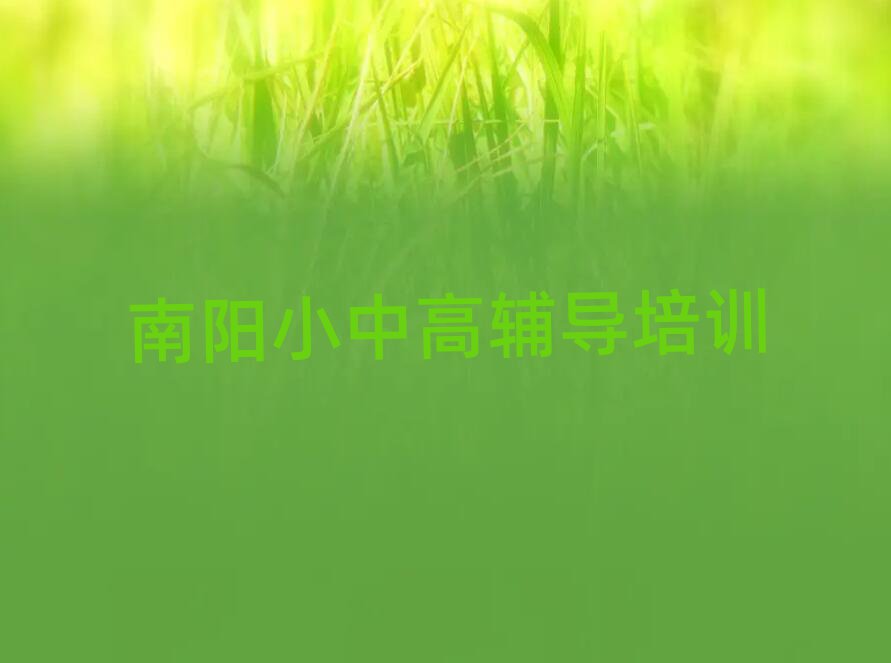 2025年南阳市学初中政治的地方实力排名名单