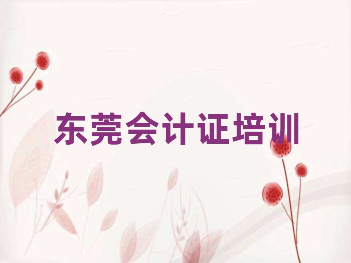 东莞会计证哪里会计证培训班实惠