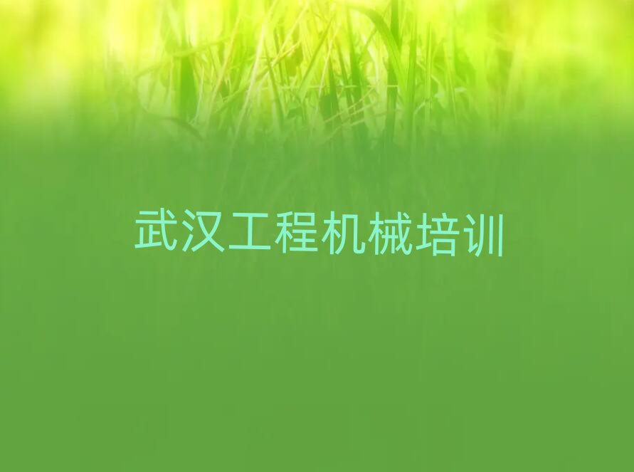 1人泵֤߿γȫһ