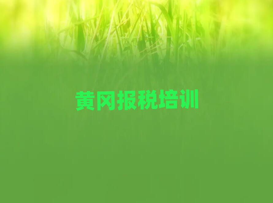 黄冈黄州区财税哪里找培训班排名前五