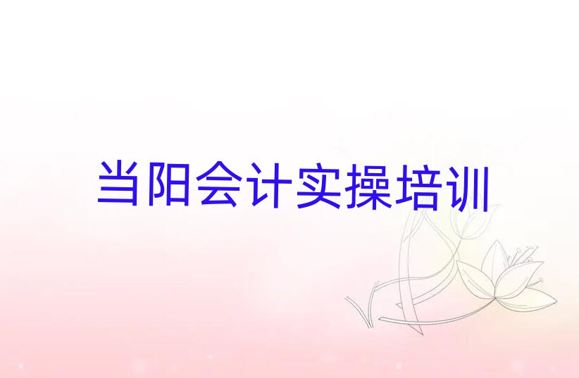 2月当阳会计实操机构名单一览