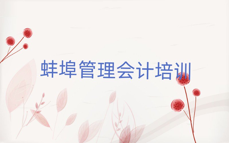 2月蚌埠蚌山区管理会计教育培训一节课多少钱排名