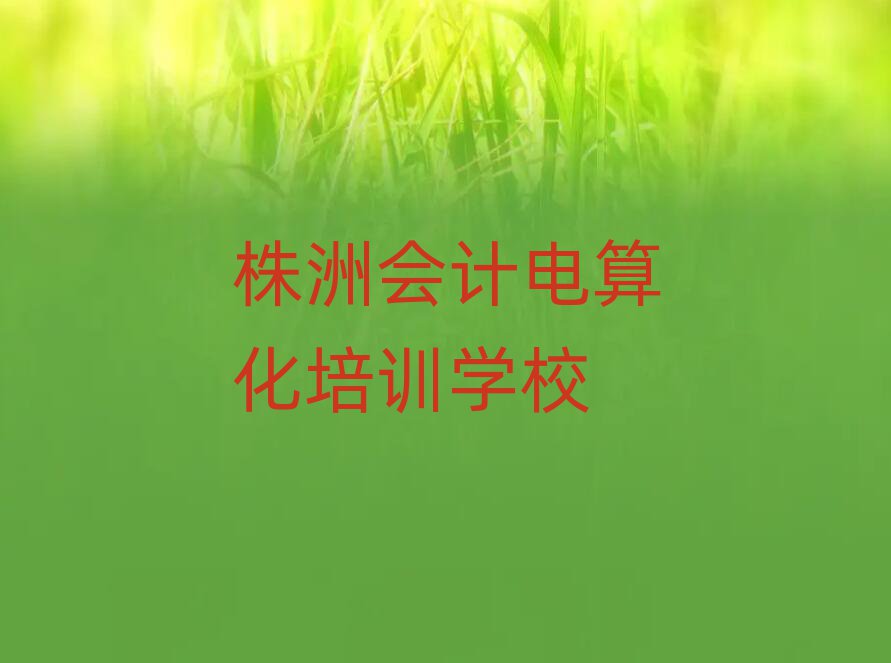 株洲市学会计电算化哪个学校推荐一览