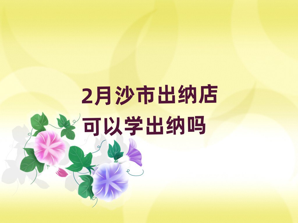 2月沙市出纳店可以学出纳吗