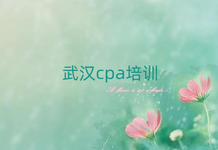 武汉蔡甸区cpa培训课程那个好