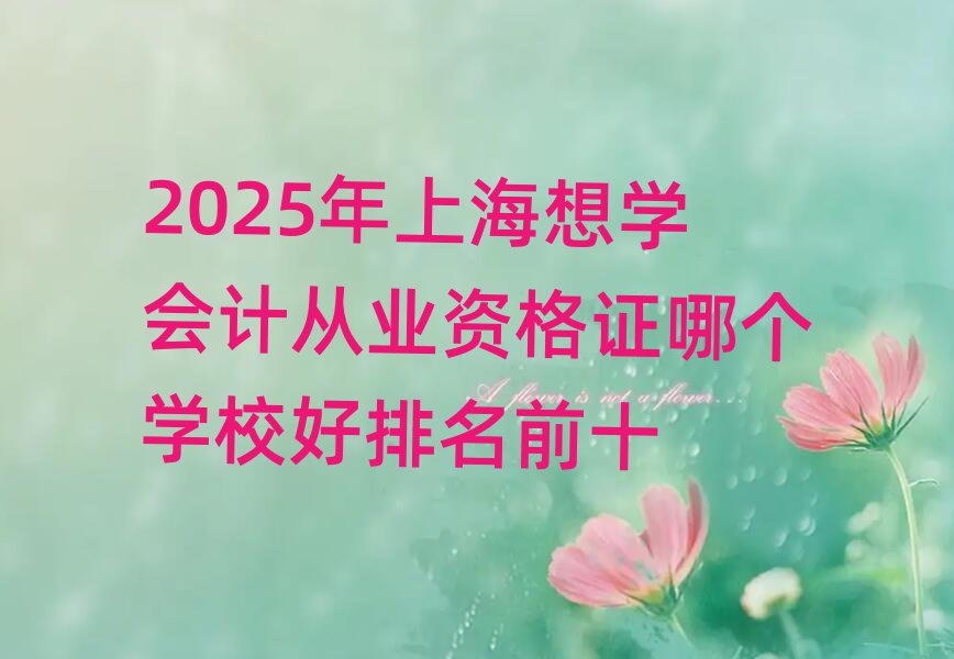 2025年上海想学会计从业资格证哪个学校好排名前十