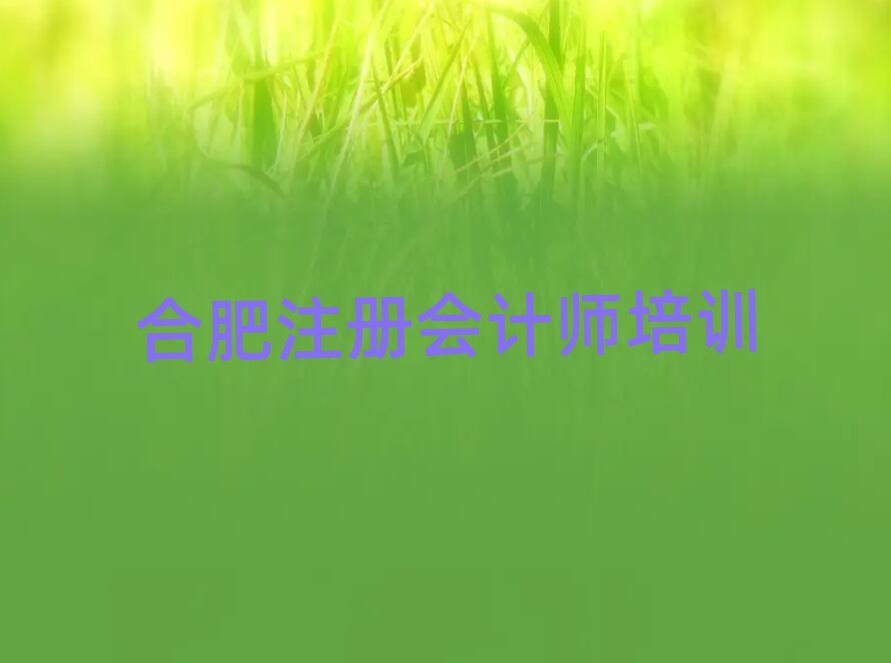 2025年合肥比较好的注册会计师培训班本地实力排名一览更新