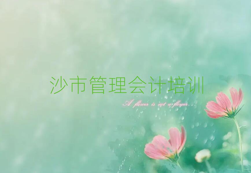 沙市什么学校学管理会计好排名口碑好的