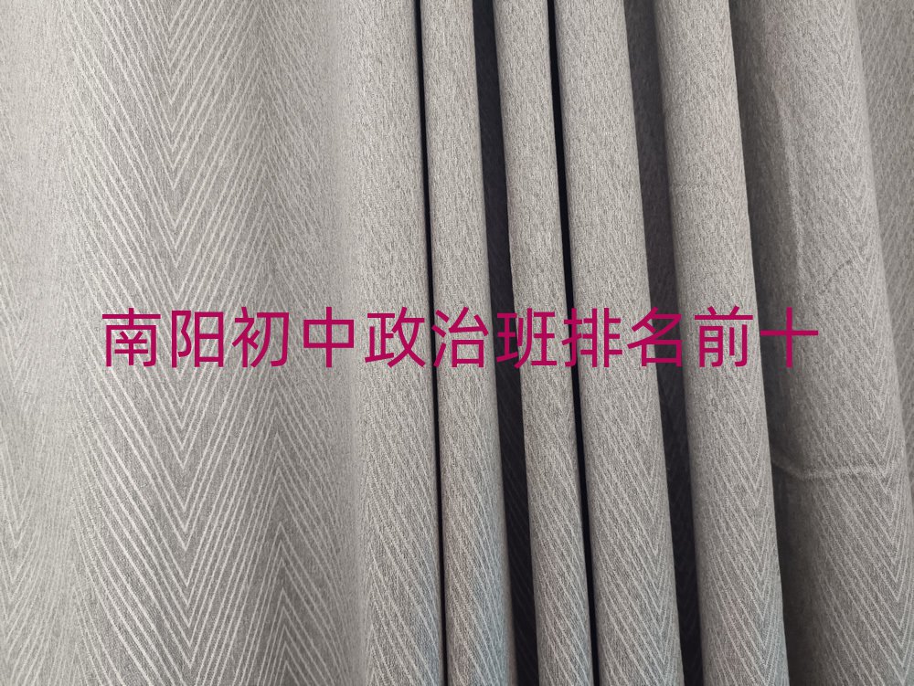 南阳初中政治班排名前十
