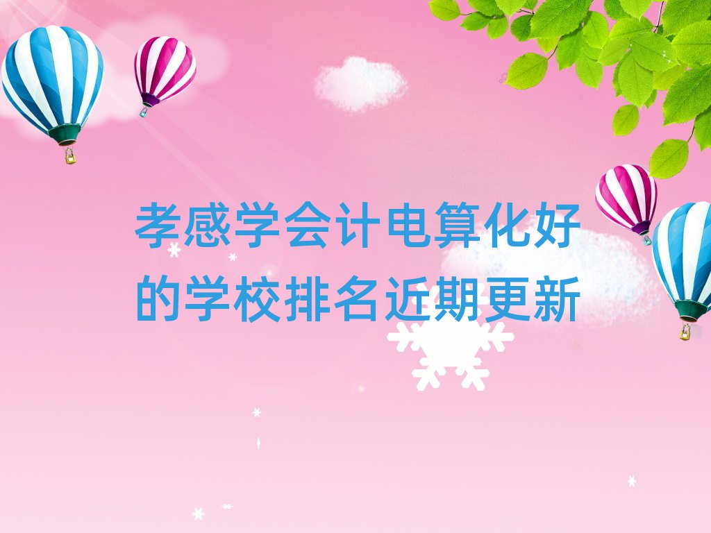孝感学会计电算化好的学校排名近期更新
