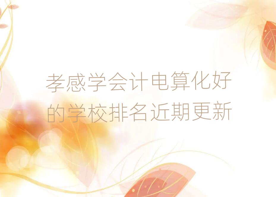 孝感学会计电算化好的学校排名近期更新