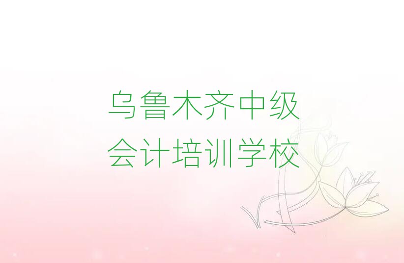 2025年乌鲁木齐教中级会计的学校排名公布