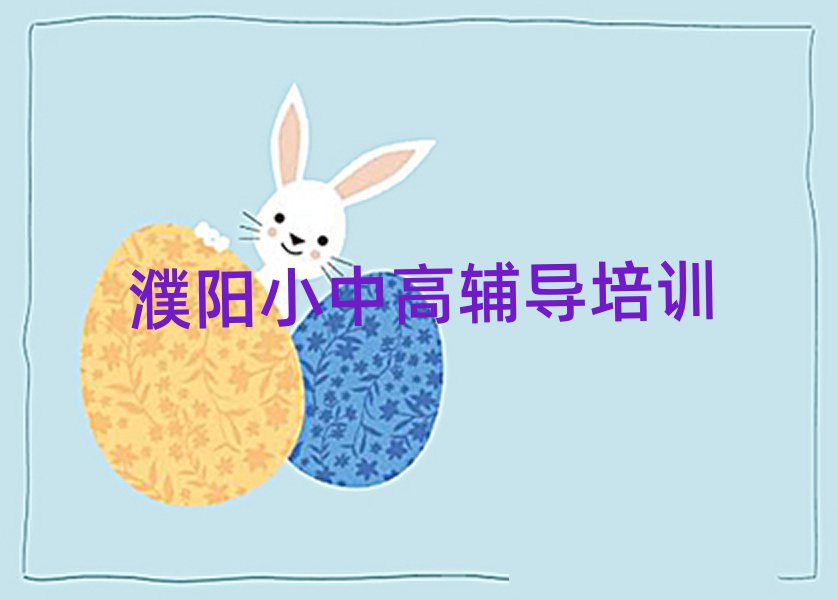 2025濮阳华龙区初中数学培训今日一览公布