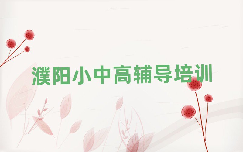 2025濮阳华龙区初中数学培训今日一览公布