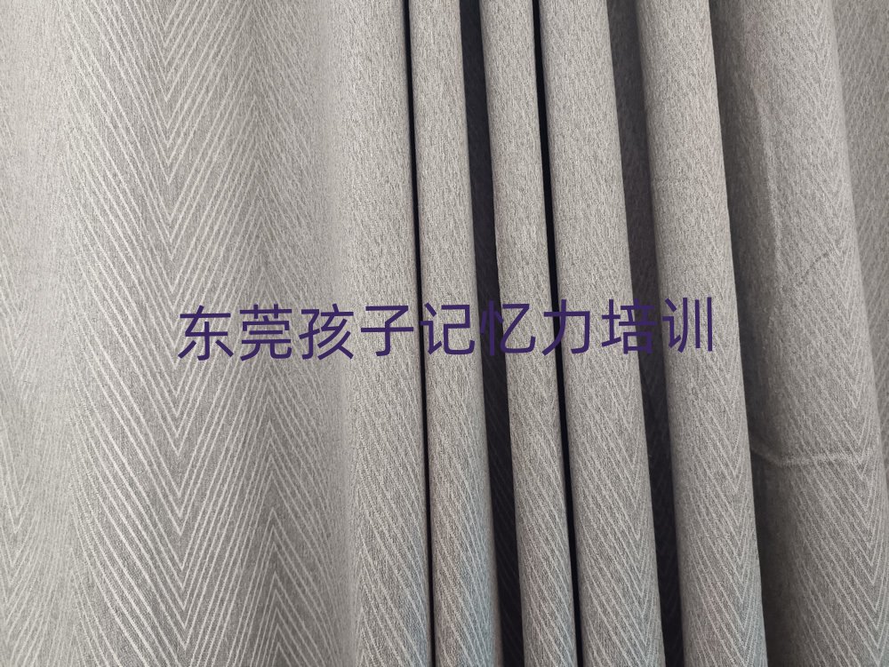 2025年东莞孩子记忆力培训机构优惠活动