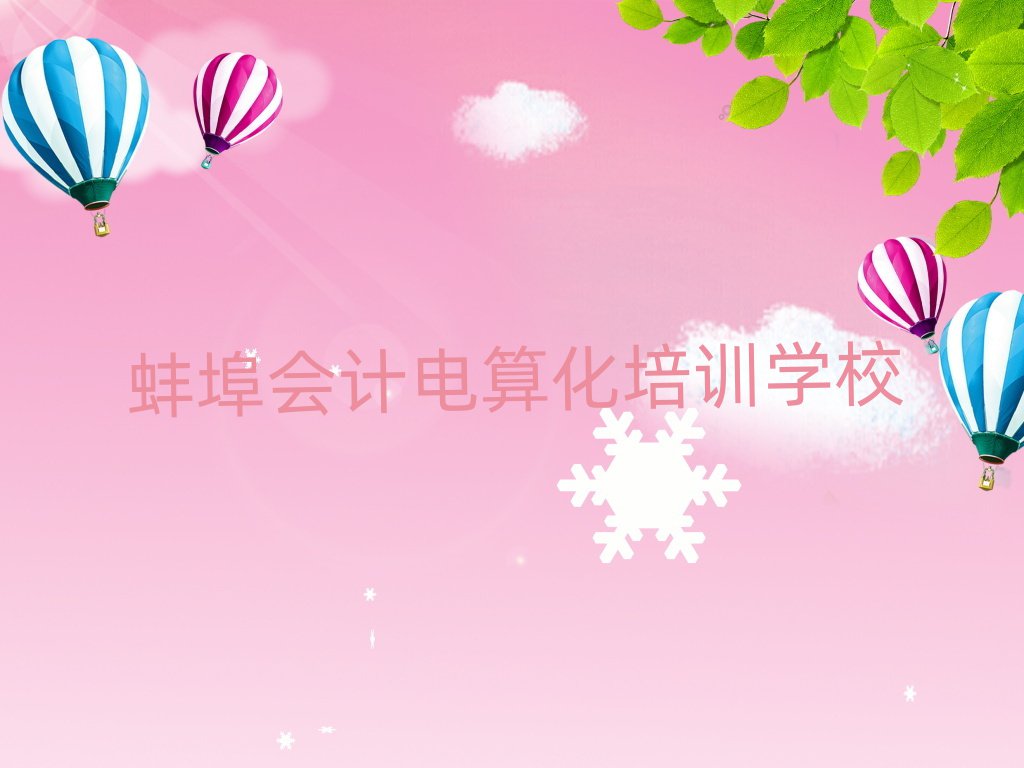 蚌埠禹会区蚌埠禹会区会计电算化学校