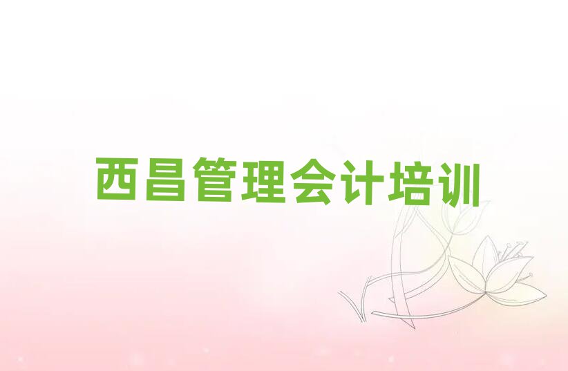 2025年西昌阎良区管理会计西昌网上辅导机构哪家好
