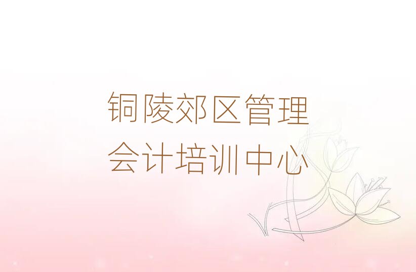铜陵郊区什么学校学管理会计好十大一览汇总本地甄选的